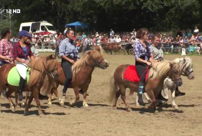 Pony-Show in Wenigenauma
