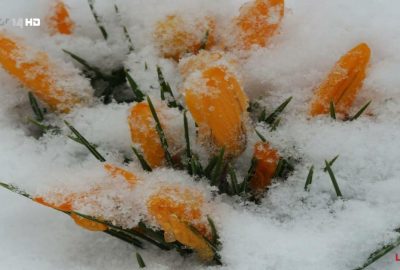 Es gibt ihn noch... den Winter!