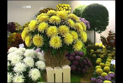 Lang ist's her... BUGA 2007