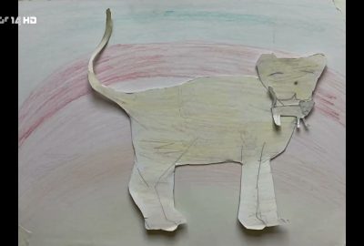 Na Zoowas! Zootiere in freier Wildbahn (Teil 2/3)